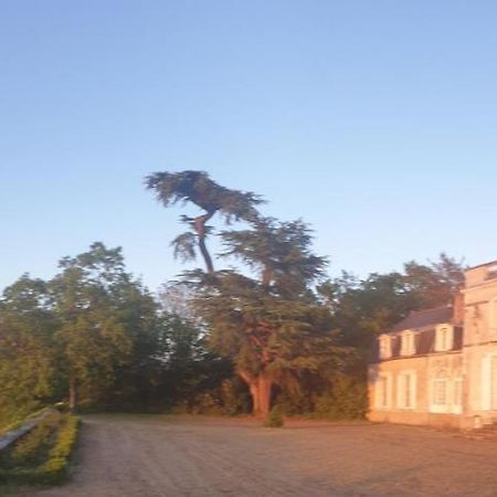 Chateau De Colliers Muides-sur-Loire Luaran gambar