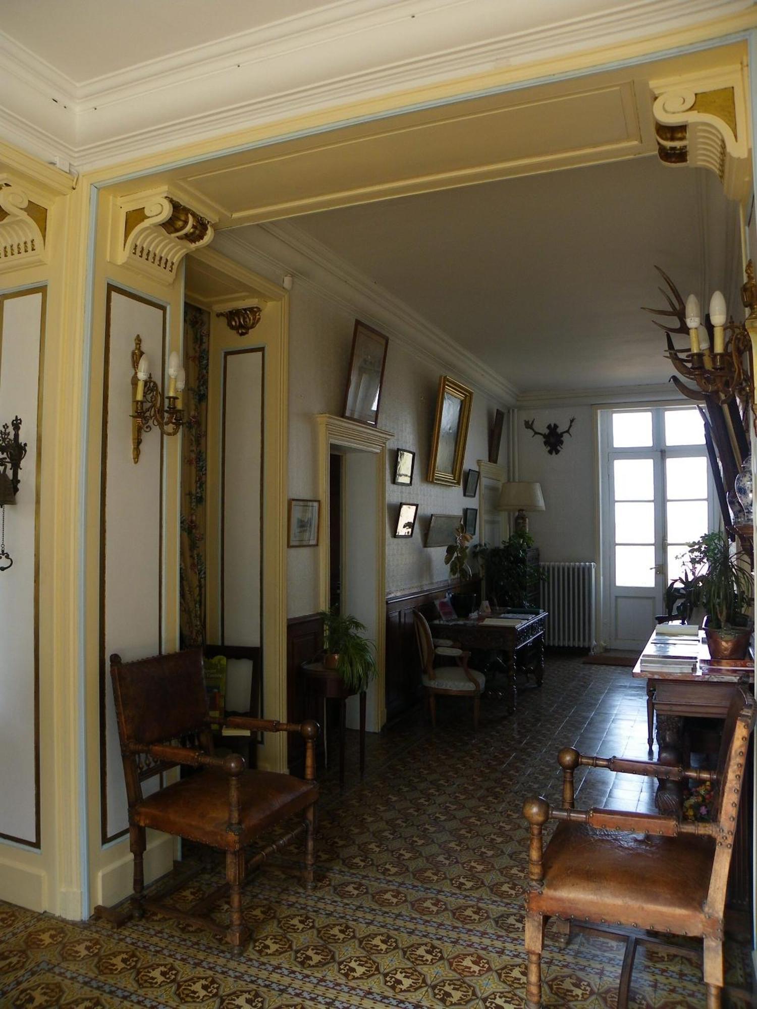 Chateau De Colliers Muides-sur-Loire Luaran gambar