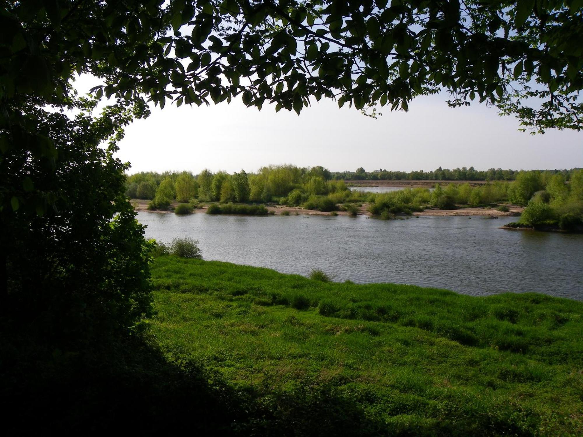 Chateau De Colliers Muides-sur-Loire Luaran gambar