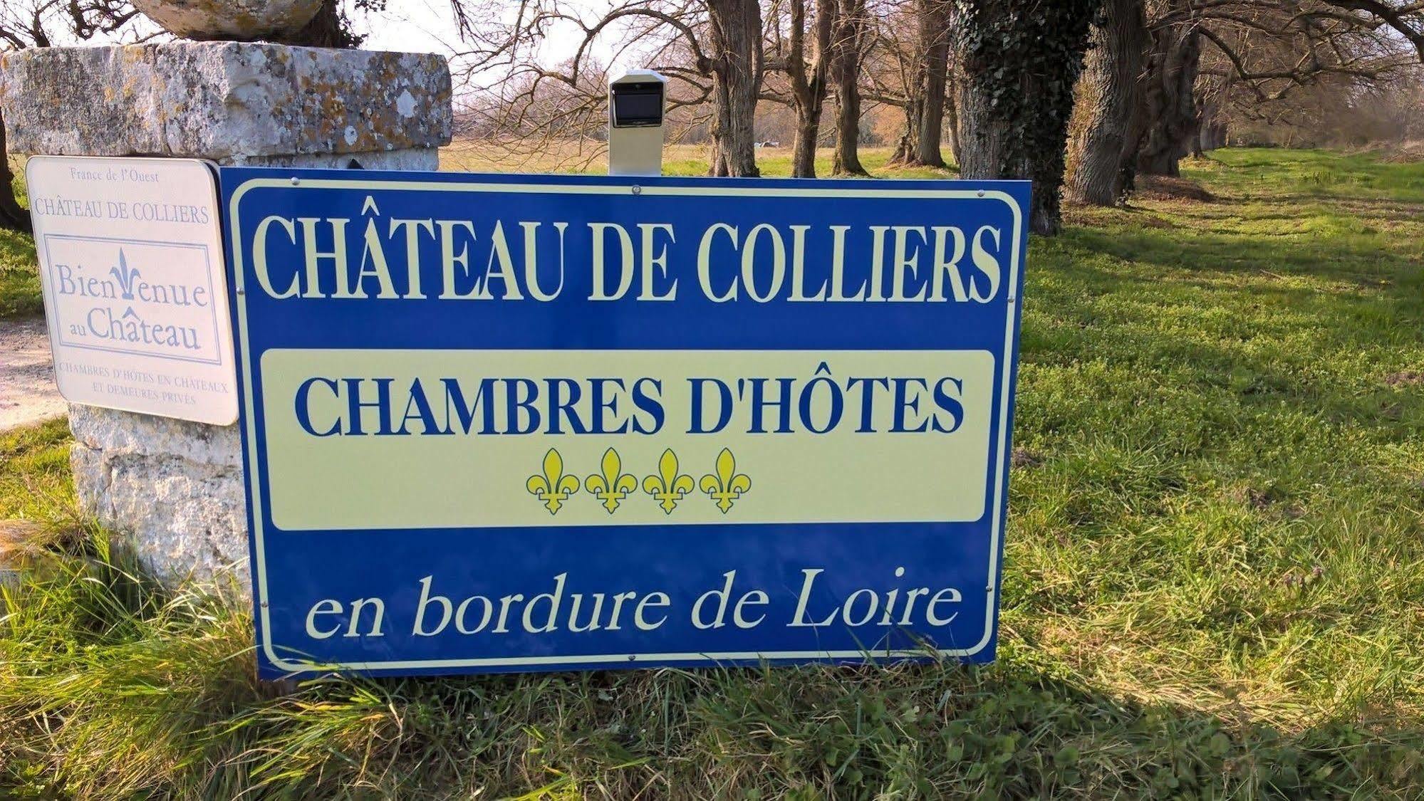 Chateau De Colliers Muides-sur-Loire Luaran gambar